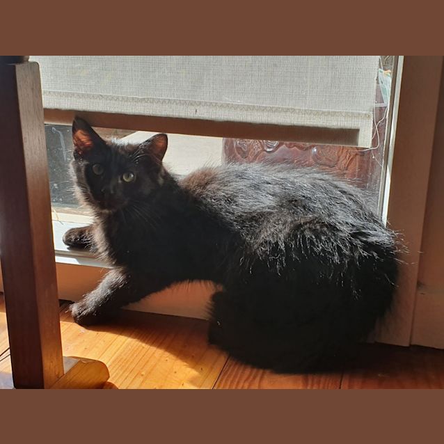 Photo of Minky & Ollie 