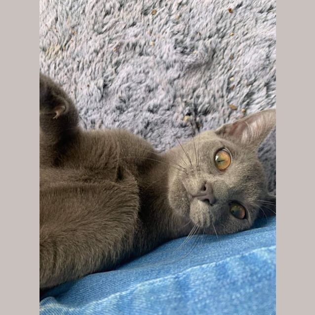 Photo of Jinx 