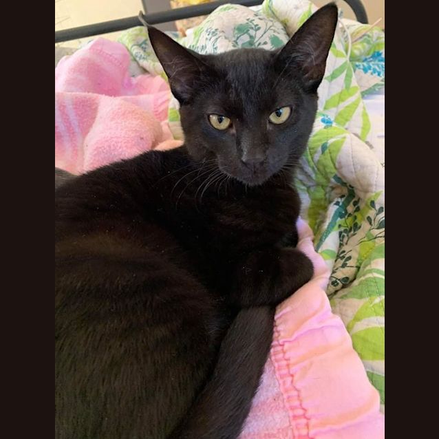 Photo of Axel