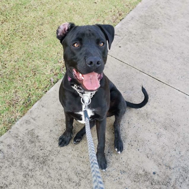 Photo of Zeus