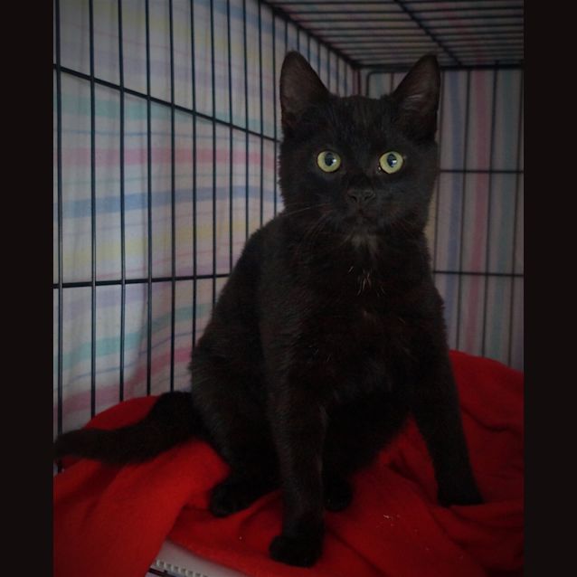 Photo of Timmie