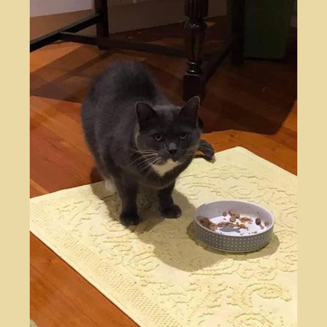 Photo of Arlo