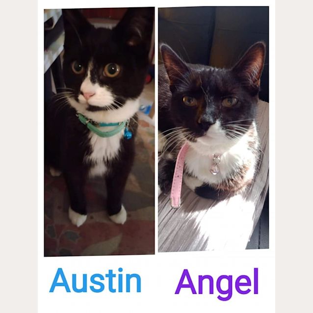 Photo of Angel & Austin