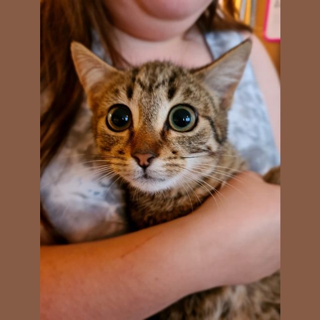 Photo of Morgana
