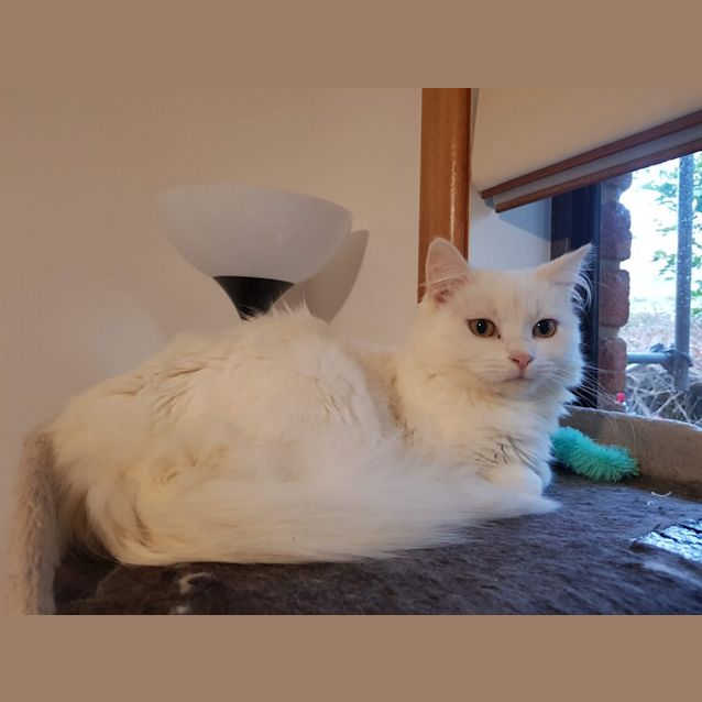 Photo of Chloe