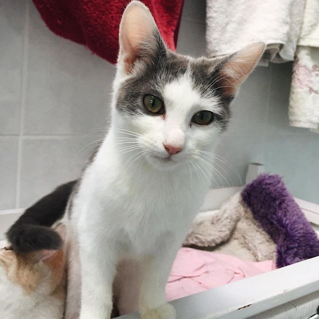 Photo of Sugar And Spice