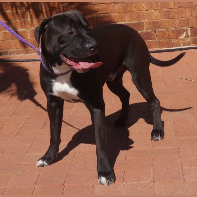Photo of Bronx