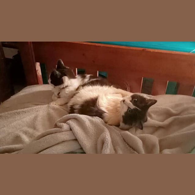 Photo of Alana & Allison