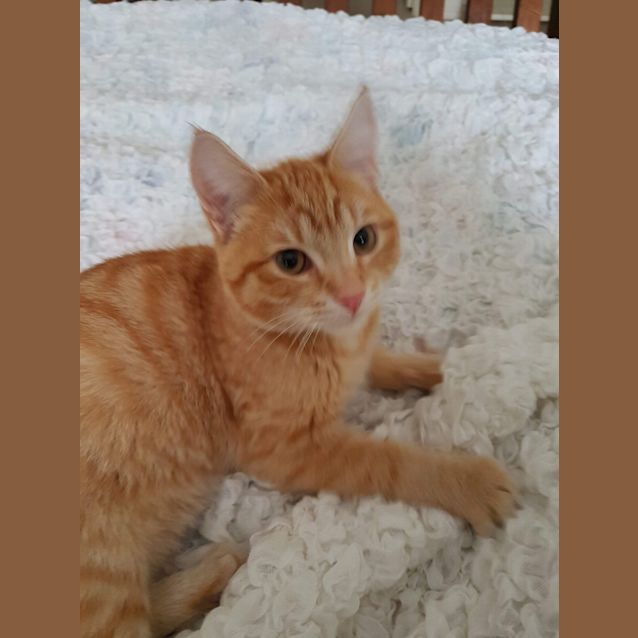 Photo of Alfie 