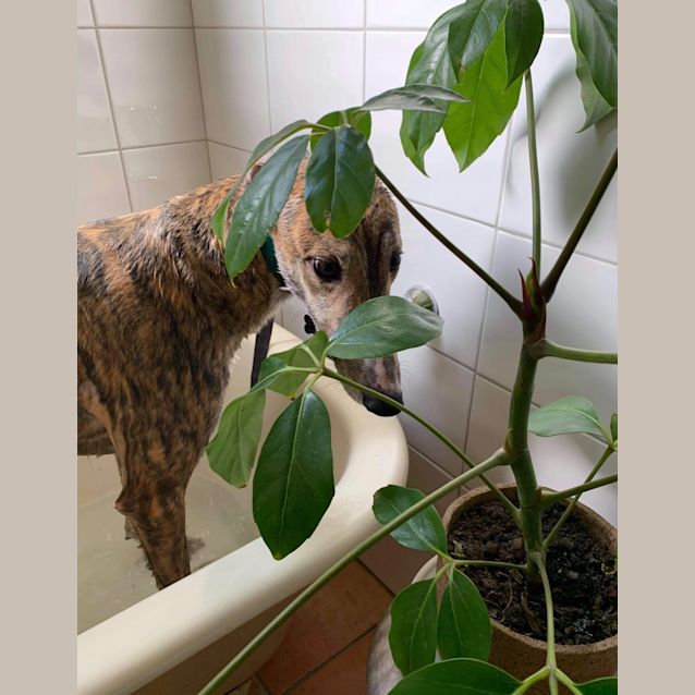 Photo of Robbie   Melbourne