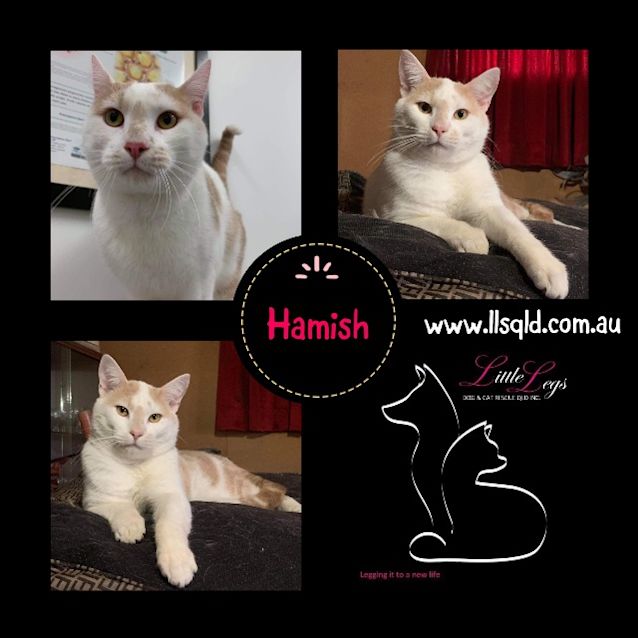 Photo of Hamish