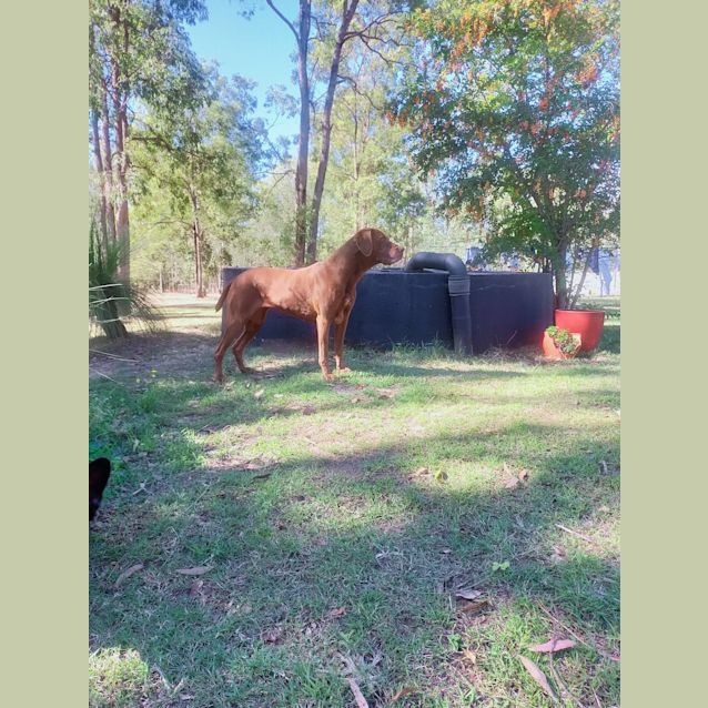 Photo of Cassy And Molly 