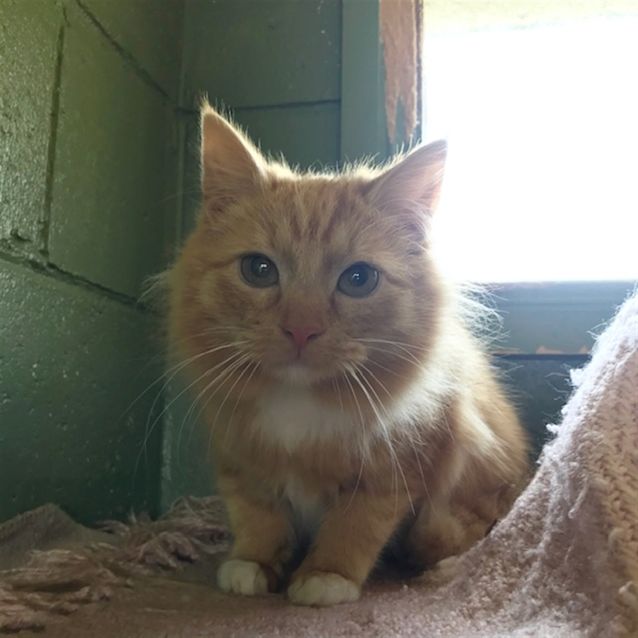 Photo of Arthur