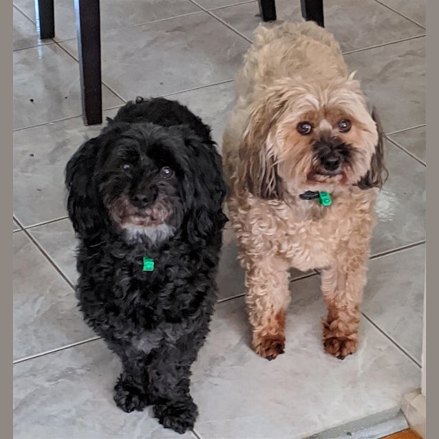 Photo of Buffy *Bonded To Willow*
