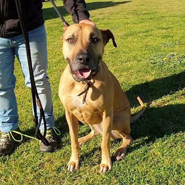 Photo of Aphie Dl2537