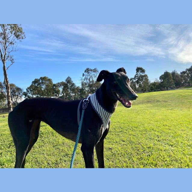 Photo of Athena