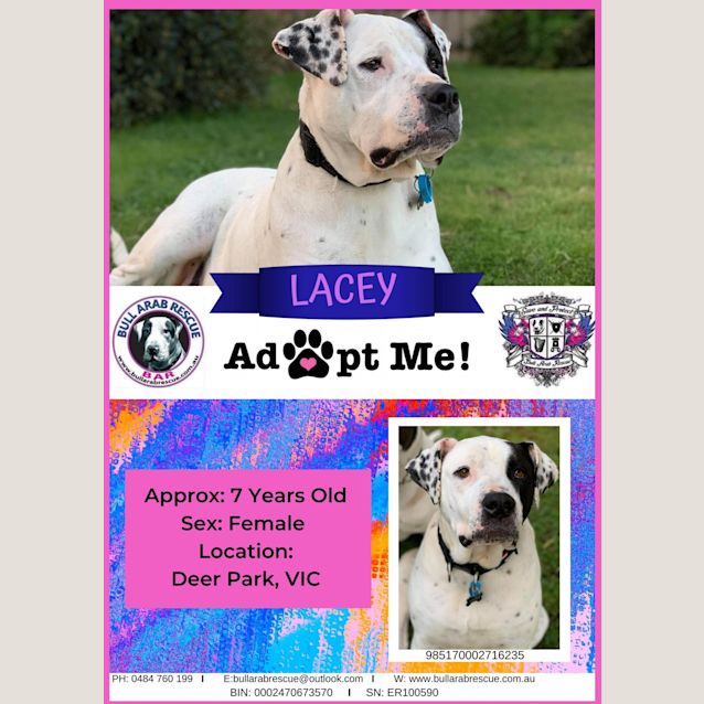 Photo of Lacey