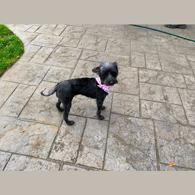 Photo of Miss Moodle