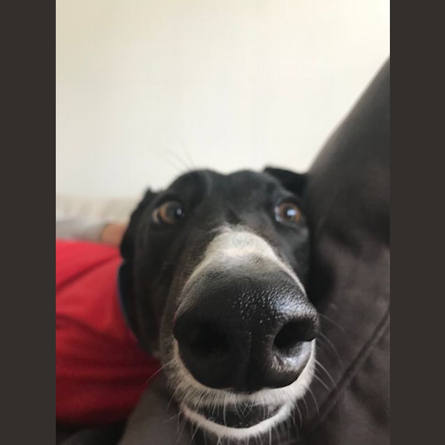 Photo of Jeanie Melbourne