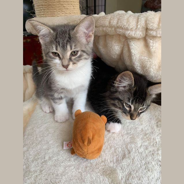 Photo of Stella And Bane ❤❤