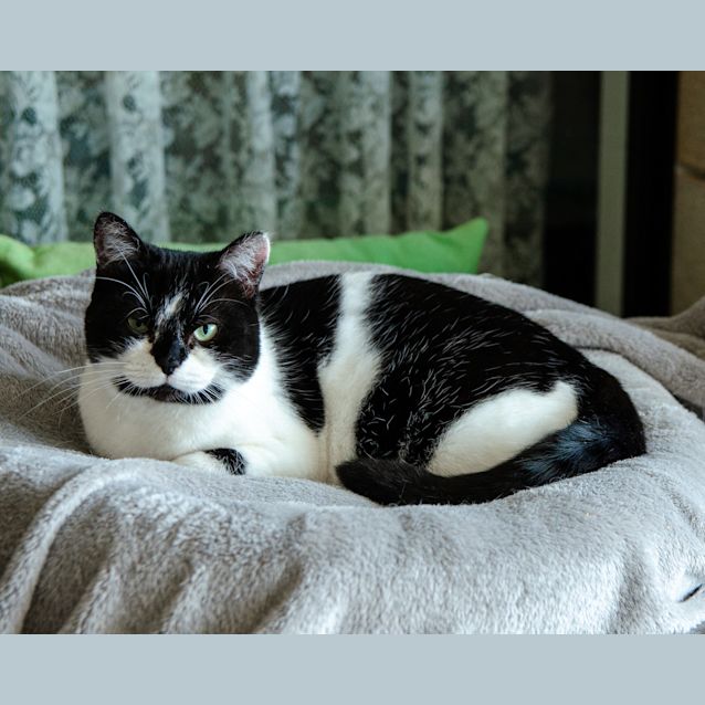 Photo of Taffie