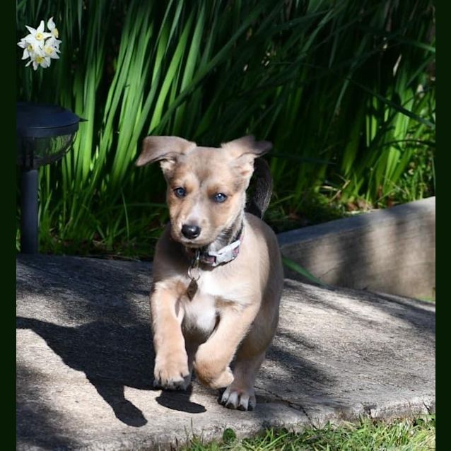 Photo of Penelope Pitstop