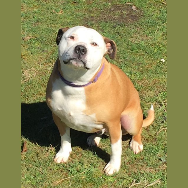 Photo of Busta