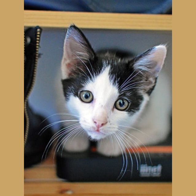 Photo of Adora 
