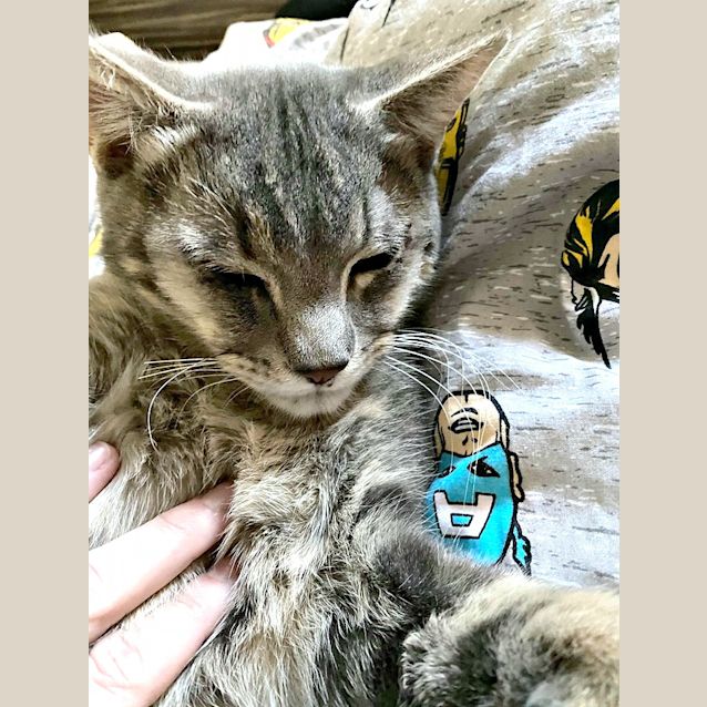 Photo of Ralph 