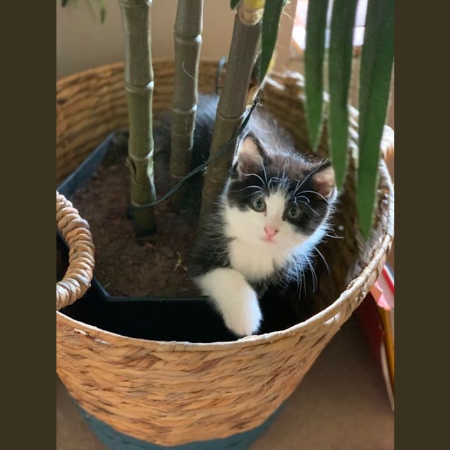 Photo of Bucky