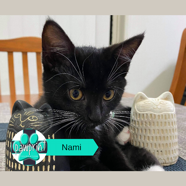 Photo of Nami