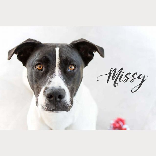 Photo of Missy