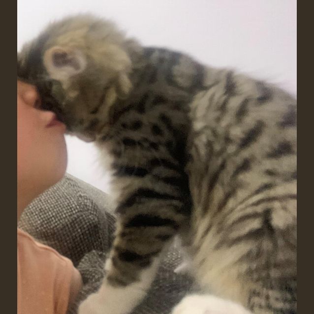 Photo of Boots
