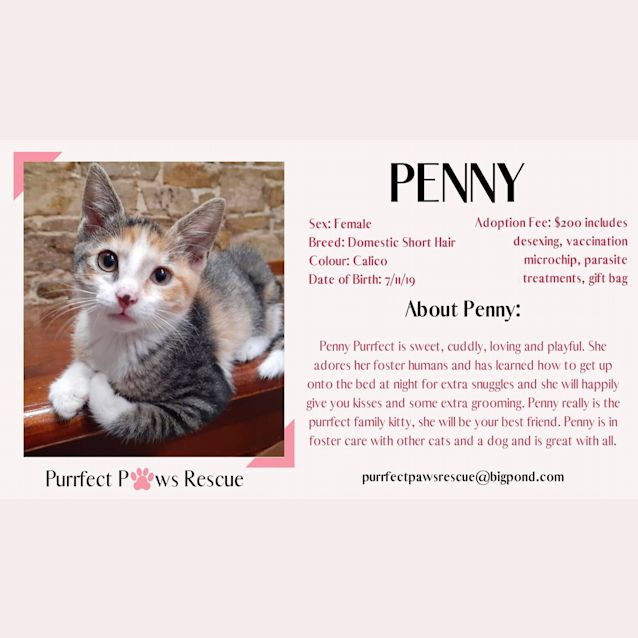 Photo of Penny