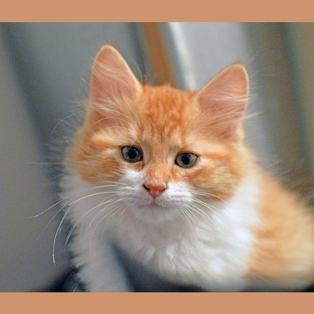 Photo of Calvin