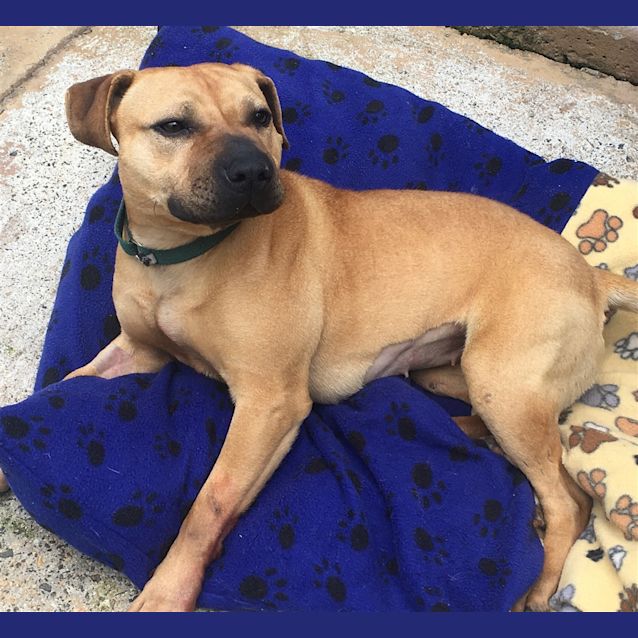 Photo of Lola