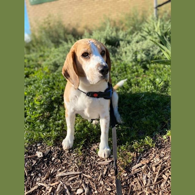Photo of Mr Milo 