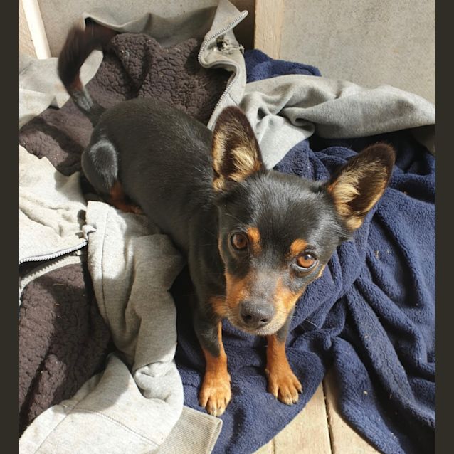 Photo of Buddy