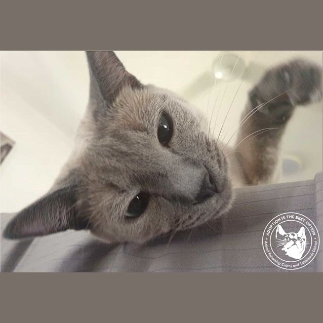 Photo of Jerry (Moo)