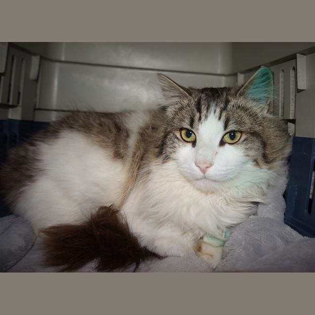 Photo of Simon