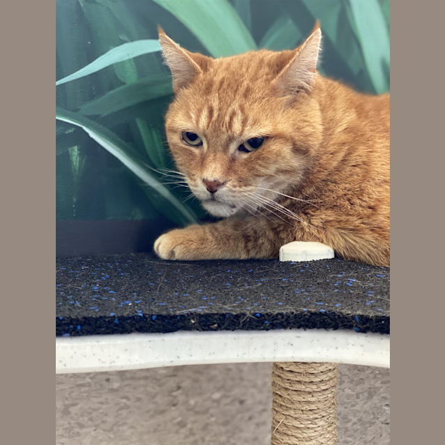 Photo of Zeek