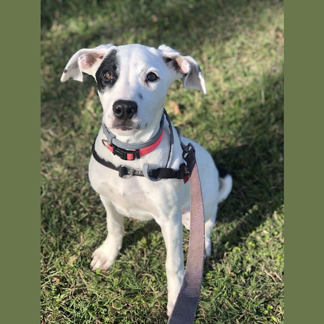 Photo of Tullie