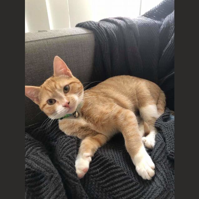 Photo of Effie 🌼