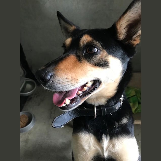 Photo of Sasha
