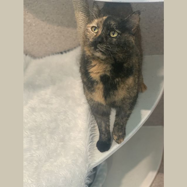 Photo of Harley