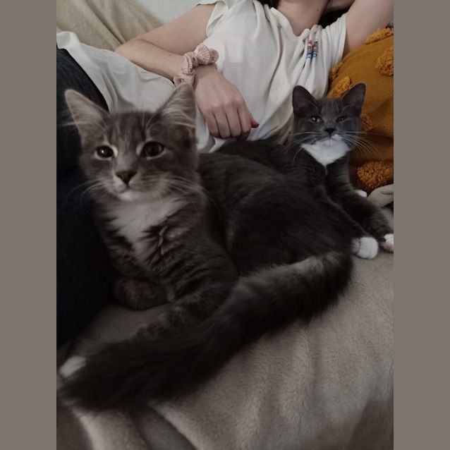 Photo of Leia