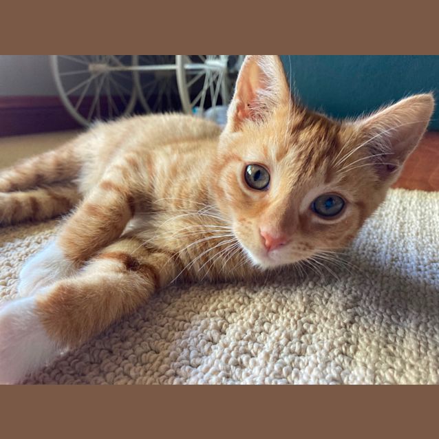 Photo of Prince Harry