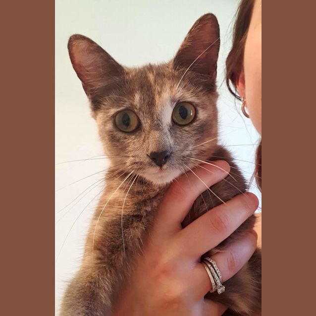 Photo of Willow