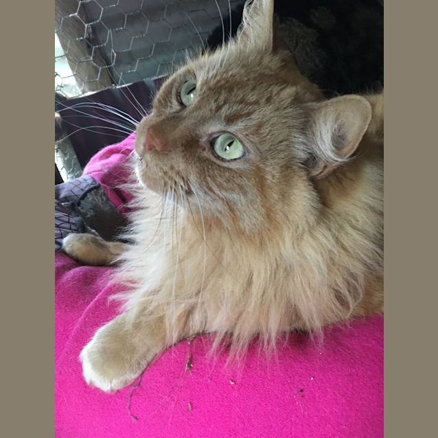 Photo of Maurice