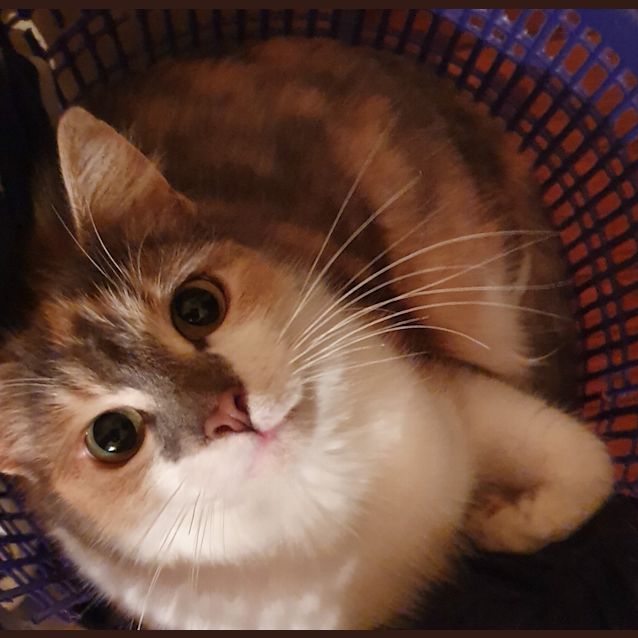 Photo of Katia